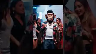 &ldquo;Hip Hop Monkey 🐒 ft. Yo Yo Style | Desi Jungle Beat&rdquo; 😎😎😎 #hiphopinindia