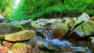 Nature's Harmony: 10 Hours of Calming Spring Water Ambience
