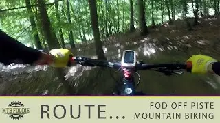 Forest of Dean Off Piste Mountain Bike Trails