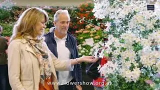 Visit Harrogate Spring Flower Show (25 - 28 April 2019)