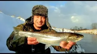 TROCIOWA ZIMA... Druga Ryba Sezonu