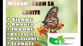 Murang Farm Lot Sa Cavite