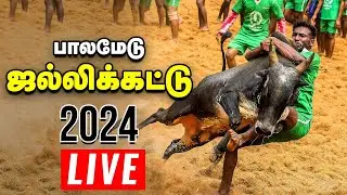 🔴பாலமேடு ஜல்லிக்கட்டு 2024 நேரலை! - Palamedu jallikattu 2024 Live | Vikatan | Exclusive