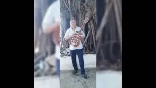 Canção Bom dia meu Amor Autor José Soares 