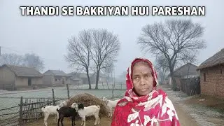 ठंड से बकरियां हो परेशन, Mera Gaon Meri jindagi, 🥺🐐😔,