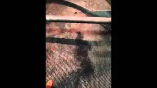 SOLD - Probat UG22 Coffee Roaster with Cyclone - Video 1