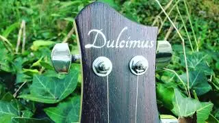 The Sound of the Dulcimus E-Dulcimer