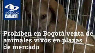 Proh&iacute;ben en Bogot&aacute; venta de animales vivos en plazas de mercado