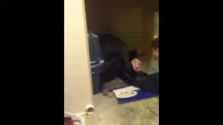 Funny fat cat inside litterbox.
