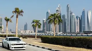 Quality Vehicles 2020