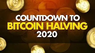 Countdown to the Halving - Bitcoin Rush 2020 | BTC | BCH | BSV
