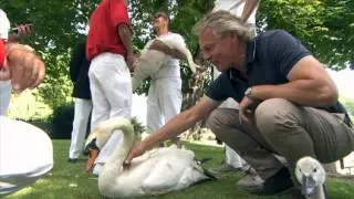 Man & Beast with Martin Clunes | ITV