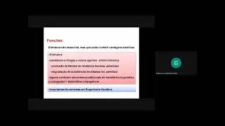 Aula 5  Genética bacteriana