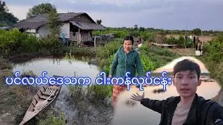 ငါးကန် Vlog | နေ့စဉ်ဘဝထဲက အခိုက်အတန့်များ