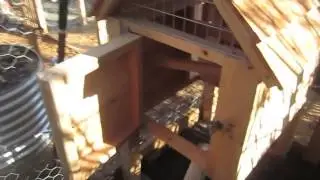Ivanhoe Mini-Chook System & Enclosed Veggie Garden