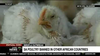 Botswana, Mozambique ban import of South African poultry products