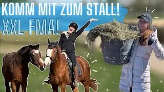 HINTER DEN KULISSEN! STALLVLOG 🤩🐴