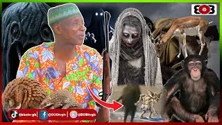 WAWAASI Zongo Chief;Retired hunter shares some scary mysteries meeting witches & Dwarfs @deep forest