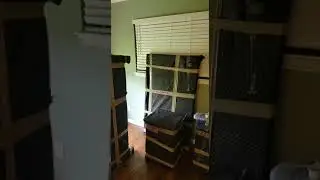 Best Long Distance Moving Company - Texas Movers Group
