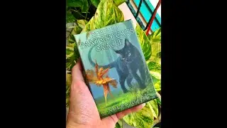 Fantasy Cats Oracle UNBOXING + REVIEW