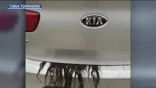 Police wig out over car trunk