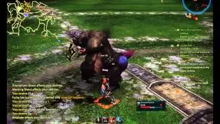 Tera Online / Berserker Vs Direpaw Mandrill