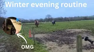 Winter evening routine! Enjoy