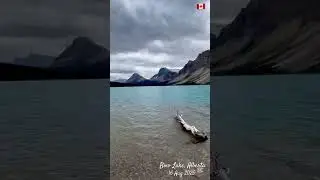 Bow Lake, Alberta #bowlake #albertacanada