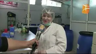 samicos 2019