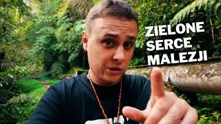 Ukryte skarby Malezji | Prehistoryczny las, niekończące się pola herbaty i malezyjska kuchnia