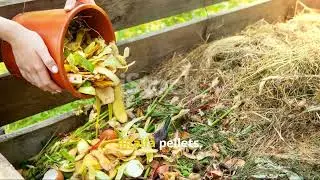 5 Unexpected Ways to Improve Your Soil Beyond Amendments