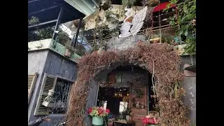 Jungle Coffee Nha Trang