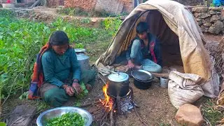 organic Nepali Himalayal Village Food ||Nepali village kitchen ||Pure Nepali kitchen🇳🇵