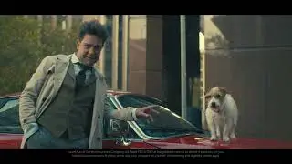 Budget Direct - The Perfect Metaphor