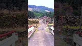 Farm Road of The Slack Season: Modern Japan's Village Forest: Furusato, Minamata, Kumamoto #country