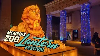Lantern Festival Memphis Zoo #christmas 2025  #lantern #2025 #holiday #southern