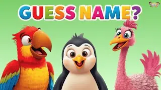 Learn Birds Names for Kids & Preschool 🐦🦜|  Sparrow Peacock Duck & more with Rhyming | Kids Learning