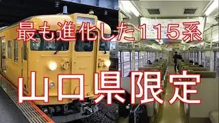 【片側2ドア】最も新しい115系3000番台N編成で海側の山陽本線に乗車。岩国→新山口　乗車記