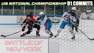 #2 LI Gulls VS #4 BK Selects USA Hockey Championship | Game Highlights