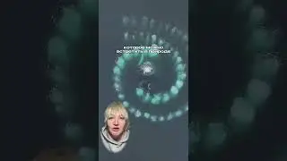 Шведский стол у китов🐋Подробнее в описании 🙌🏻Больше о наблюдениях за китами в Inst: @team_trip_ru
