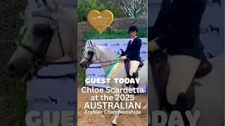 Graham Smith Australian Arabian Nationals with Chloe Scardetta #arabian #arabianhorse #arabianhorses