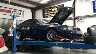 Stang Hi 2004 Mystic Chrome Cobra.mpg
