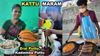 பட்டினம்பாக்கத்தை கலக்கும் மற்றொரு மீனவ உணவகம் , Kattu Maram - Karthiks View