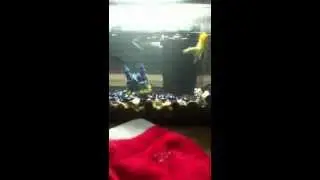 Weird sucker fish