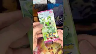 Day 169 - Opening Packs Until MaxmoefoePokemon Returns