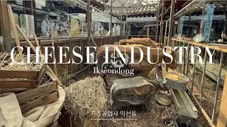 Ikseondong Cafe Hopping - Cheese Industry / 치즈인더스트리 (치즈공업사)