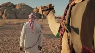 Crossing the desert with a camel | HD & 4K Videos - Free Videos - no copyright