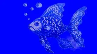 Blue Pen Drawing | Full Tutorial Sketch to Final | Fish Art Step-by-Step #drawing
