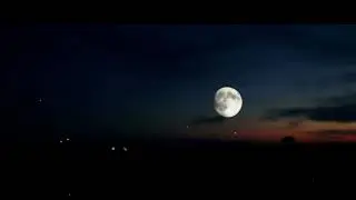 THE DAN THE D - Boy Moon
