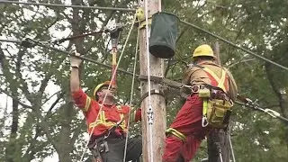 Addressing backyard hydro hassles